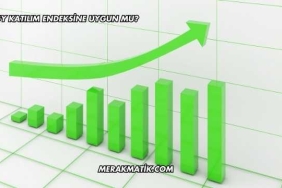 AVPGY Katılım Endeksine Uygun mu?