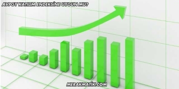 AVPGY Katılım Endeksine Uygun mu?