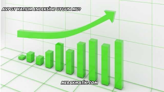 AVPGY Katılım Endeksine Uygun mu?
