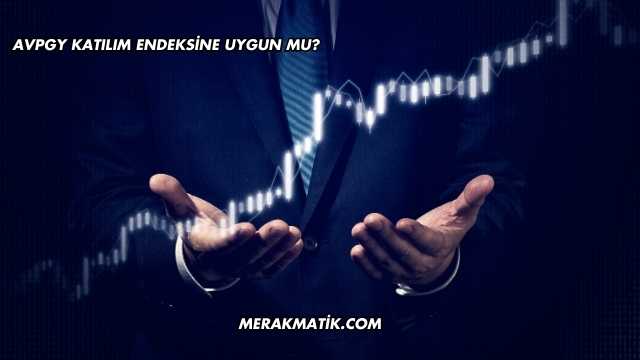 AVPGY Katılım Endeksine Uygun mu?