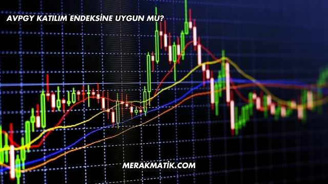 AVPGY Katılım Endeksine Uygun mu?