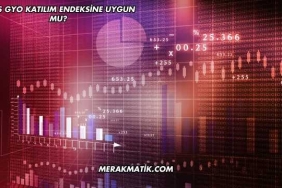 Ahes GYO Katılım Endeksine Uygun mu?