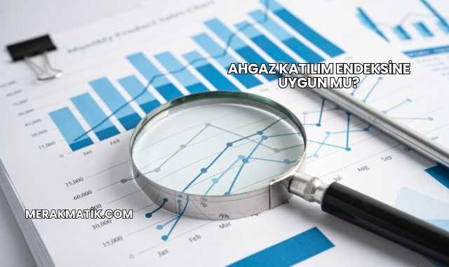 Ahgaz Katılım Endeksine Uygun mu?