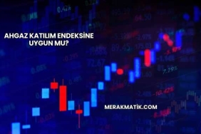 Ahgaz Katılım Endeksine Uygun mu?