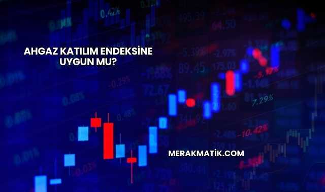 Ahgaz Katılım Endeksine Uygun mu?