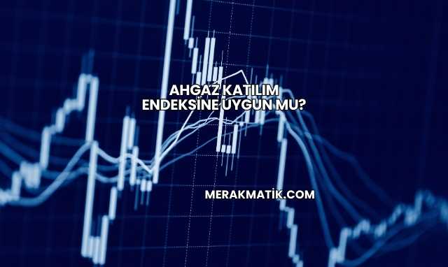 Ahgaz Katılım Endeksine Uygun mu?