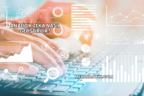 Analitik Zeka Nasıl Geliştirilir?