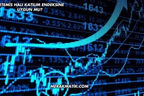 Artemis Halı Katılım Endeksine Uygun mu?