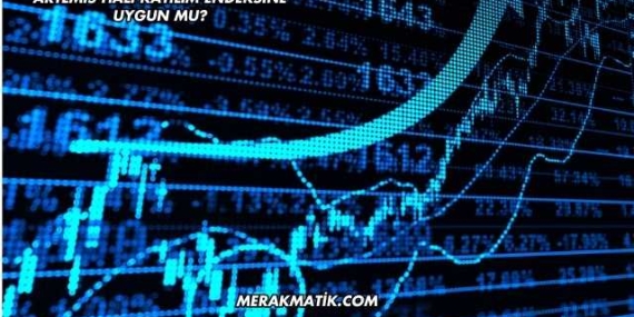 Artemis Halı Katılım Endeksine Uygun mu?