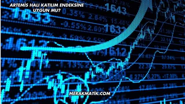 Artemis Halı Katılım Endeksine Uygun mu?