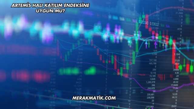 Artemis Halı Katılım Endeksine Uygun mu?