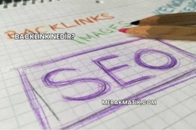 Backlink Nedir?