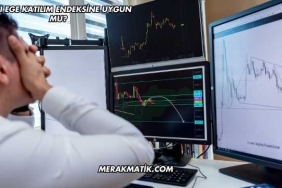 Batı Ege Katılım Endeksine Uygun mu?