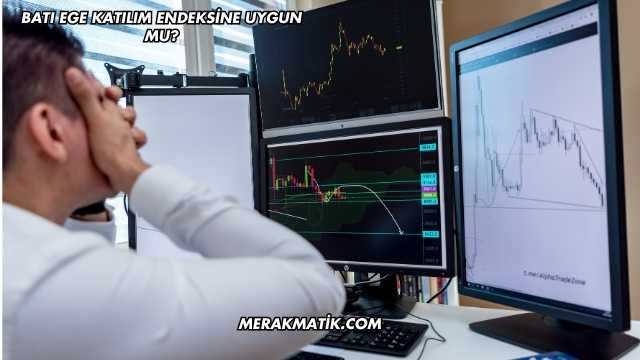 Batı Ege Katılım Endeksine Uygun mu?