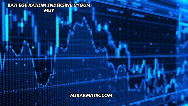 Batı Ege Katılım Endeksine Uygun mu?