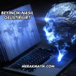 Beyincik Nasıl Geliştirilir?