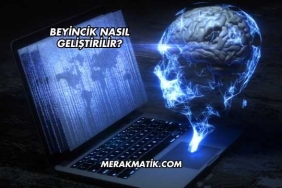 Beyincik Nasıl Geliştirilir?