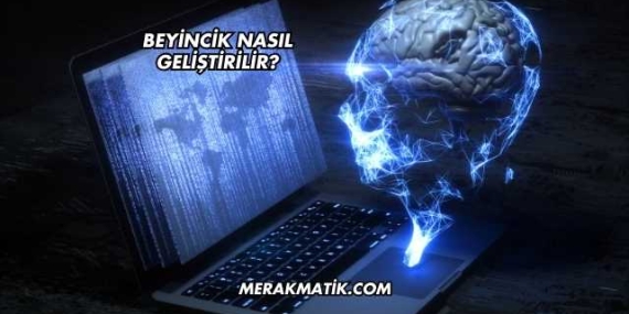 Beyincik Nasıl Geliştirilir?