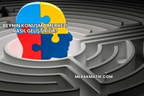 Beynin Konuşma Merkezi Nasıl Geliştirilir?