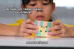 Beynin Sol Tarafı Nasıl Geliştirilir?