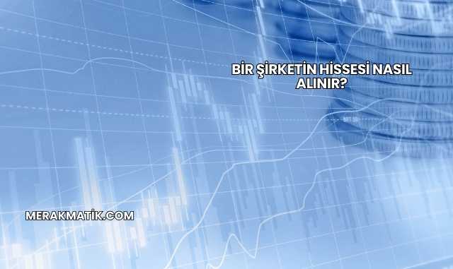 Bir Şirketin Hissesi Nasıl Alınır?