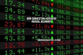 Bir Şirketin Hissesi Nasıl Alınır?