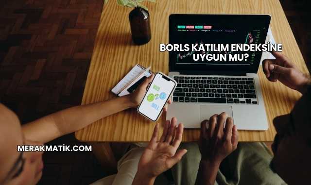 Borls Katılım Endeksine Uygun mu?