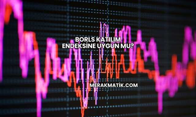Borls Katılım Endeksine Uygun mu?