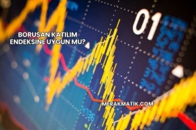 Borusan Katılım Endeksine Uygun mu?