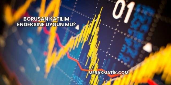 Borusan Katılım Endeksine Uygun mu?