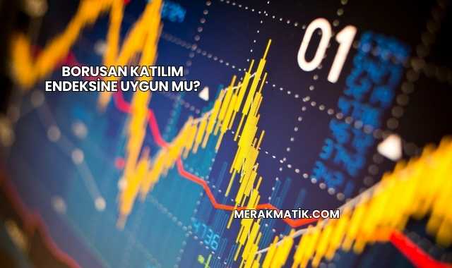 Borusan Katılım Endeksine Uygun mu?