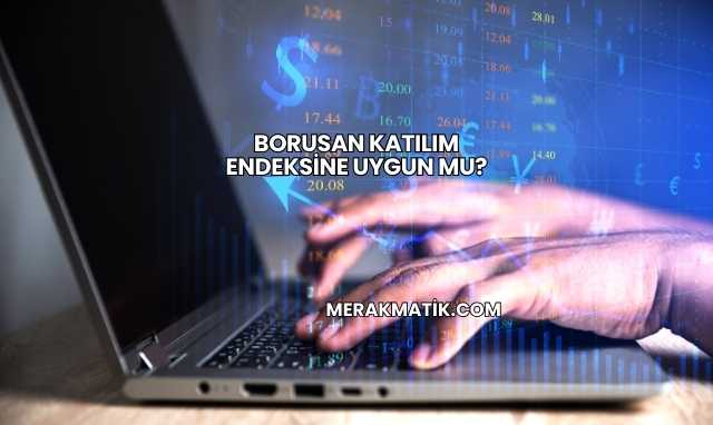 Borusan Katılım Endeksine Uygun mu?