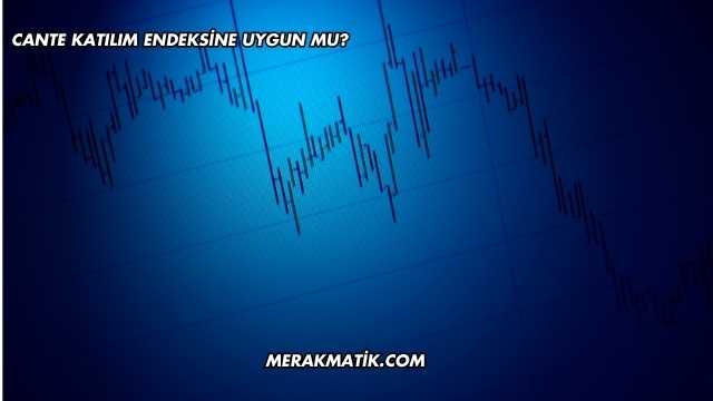 CANTE Katılım Endeksine Uygun mu?