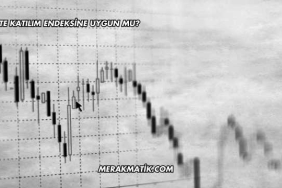 CANTE Katılım Endeksine Uygun mu?