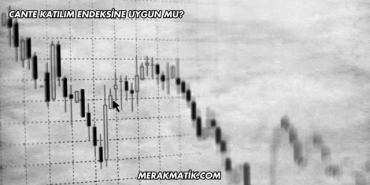 CANTE Katılım Endeksine Uygun mu?