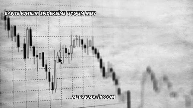 CANTE Katılım Endeksine Uygun mu?