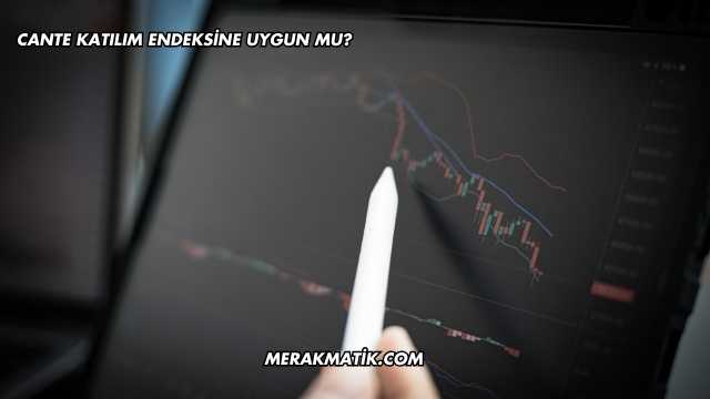 CANTE Katılım Endeksine Uygun mu?