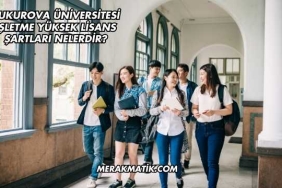 Çukurova Üniversitesi İşletme Yüksek Lisans Şartları Nelerdir?