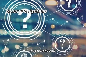 Dil Nasıl Geliştirilir?