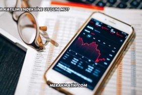 Dofer Katılım Endeksine Uygun mu?