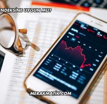 Dofer Katılım Endeksine Uygun mu?