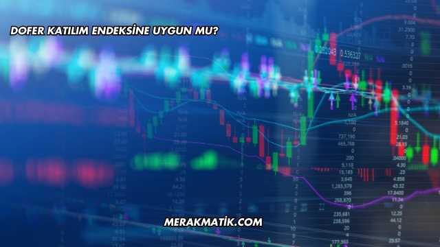 Dofer Katılım Endeksine Uygun mu?