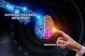 Duygusal Zeka Nasıl Geliştirilir?