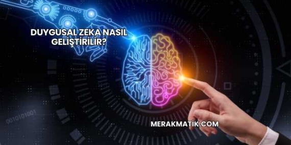 Duygusal Zeka Nasıl Geliştirilir?