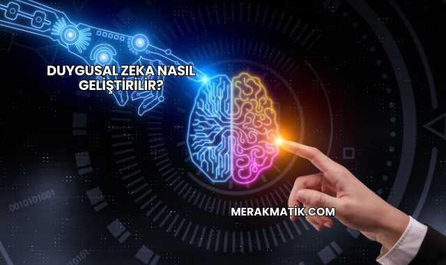 Duygusal Zeka Nasıl Geliştirilir?