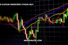 EKGYO Katılım Endeksine Uygun mu?