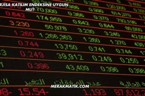 Enerjisa Katılım Endeksine Uygun mu?