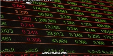 Enerjisa Katılım Endeksine Uygun mu?