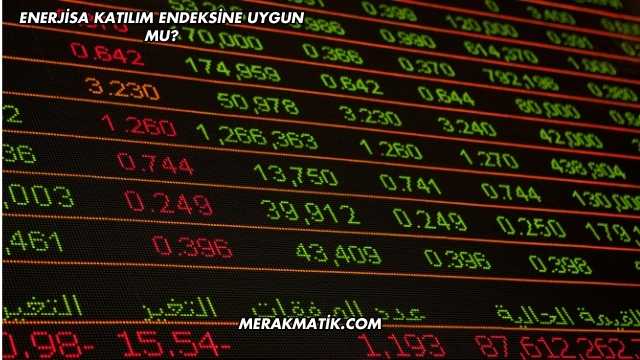 Enerjisa Katılım Endeksine Uygun mu?