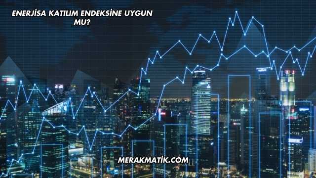Enerjisa Katılım Endeksine Uygun mu?